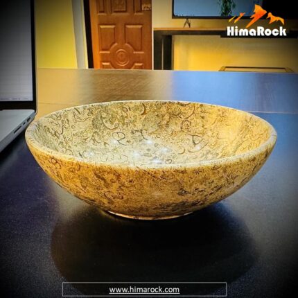 Bowl Fossil